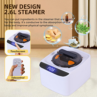 Máquina de Spa Corporal Profesional Plegable para Interiores, Uso en Gimnasios, Sauna de Vapor Portátil para el Hogar
