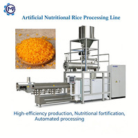 Système de traitement du riz artificiel de qualité industrielle, mélangeur de riz nutritionnel, capacité de 300 kg/h, acier inoxydable de qualité alimentaire, numérique