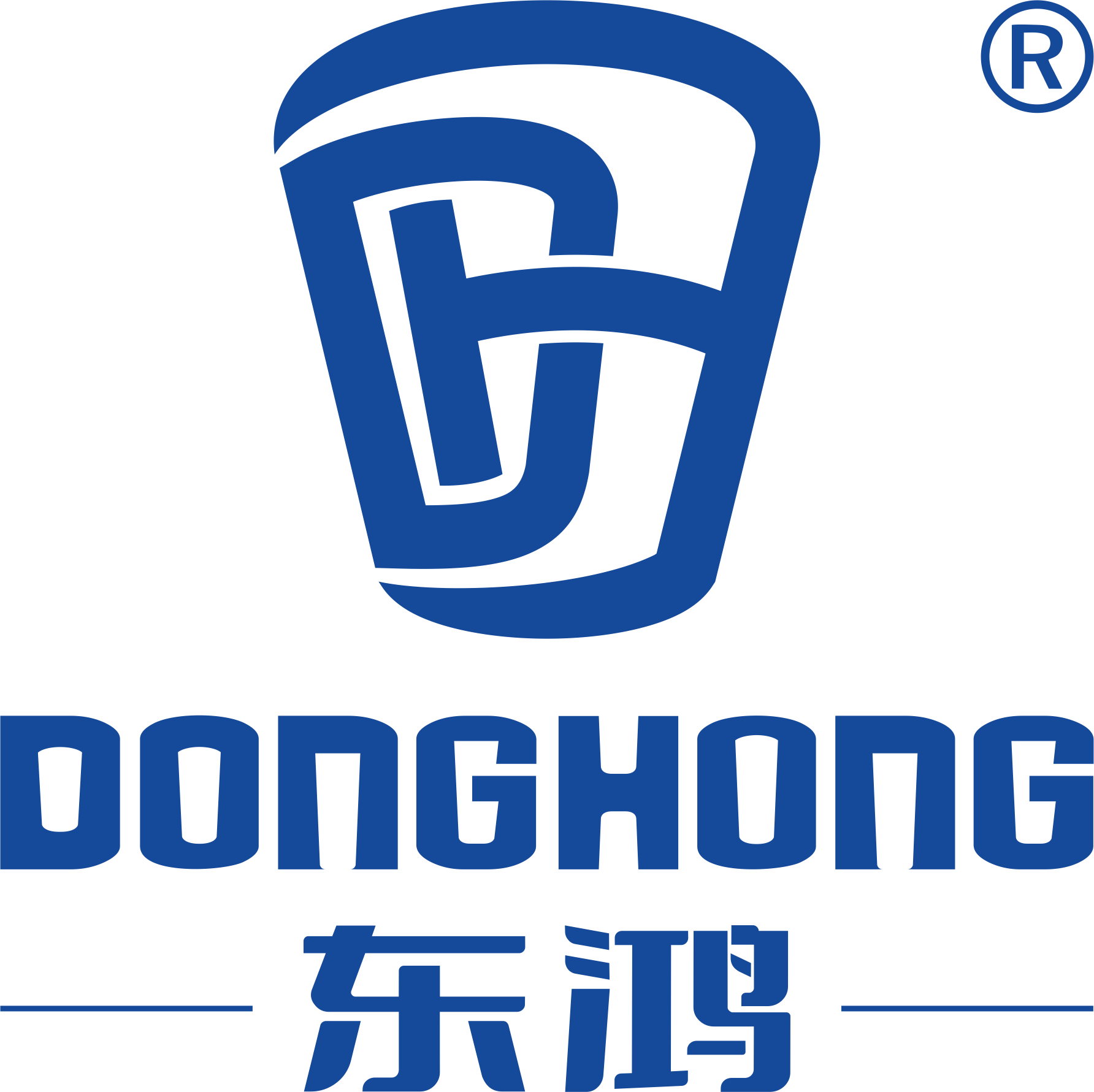 Anhui Donghong Paper Products Co., Ltd. logo
