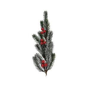 BRANCHES DE PIN VERTES/ARGENTÉES AVEC BAIES ROUGES - Product Image 1