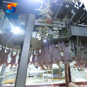 Équipement d'abattage de canard ZB avec équipement de traitement de boucherie et de volaille - Product Image 5