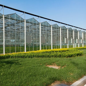 Chine <span class=keywords><strong>Jardin</strong></span> utilisé agriculture <span class=keywords><strong>verre</strong></span> vert maison <span class=keywords><strong>serre</strong></span> à ossature <span class=keywords><strong>en</strong></span> acier à vendre - Product Image 4