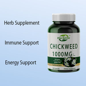 OEM/ODM kapsul chicweed | 1,000mg | 120 hitungan | Non-gmo, ekstrak bebas Gluten | Suplemen Herbal, dukungan imun - Product Image 3