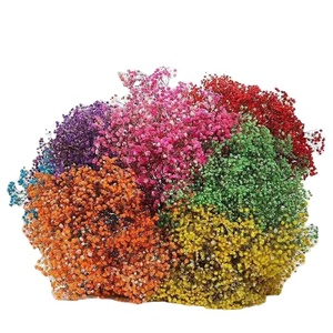 Regalo <span class=keywords><strong>de</strong></span> San Valentín, Gypsophila <span class=keywords><strong>Paniculata</strong></span> Seca y Preservada, <span class=keywords><strong>Flor</strong></span> <span class=keywords><strong>de</strong></span> Baby's Breath Eterna - Product Image 2