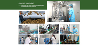 Gel Nutritionnel Naturel Hypercalorique en Gros pour Chiens : Répare l'Énergie, Renforce l'Immunité, Soutient la Santé, Contient des Électrolytes