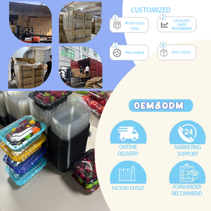 ถาดพลาสติกใส่อาหารกล่องใส่อาหารกลับบ้านทรงสี่เหลี่ยมผืนผ้าถาดใส่<span class=keywords><strong>ซูชิ</strong></span> - Product Image 6