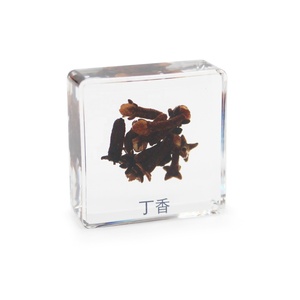 Colección de hierbas chinas, hierba china, resina, espécimen de insectos, Juguetes diy, regalo creativo - Product Image 3