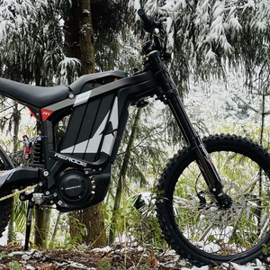 <span class=keywords><strong>Moto</strong></span> électrique tout-terrain d'aventure 8KW 330N.m à couple élevé pour la traversée de sentiers forestiers, le camping et la conduite en extérieur - Product Image 3
