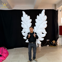 Ailes de papillon gonflables personnalisées de 2,5 m avec souffleur, accessoire de défilé et de fête, ballon lumineux à LED