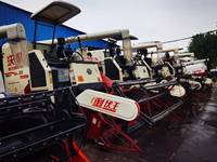 Moissonneuse-Batteuse Riz et Blé FMworld 125CV, Châssis Surélevé Très Haut, Prix Bas