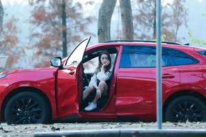 2026 नई कारों की उच्च गति और नई डिजाइन डोंगफेंग फोर्थिंग कार जीसीसी यूरो 5 so - Product Image 5