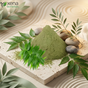 Fournisseur en gros d'extrait de poudre de feuilles de Neem, fabricant d'extrait de poudre de Neem en vrac - Product Image 1