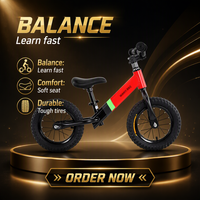 Bicicleta de Equilibrio para Niños de 12 Pulgadas, Bicicleta de Empuje para Bebés, para Entrenamiento y Ejercicio, Venta al por Mayor Personalizada