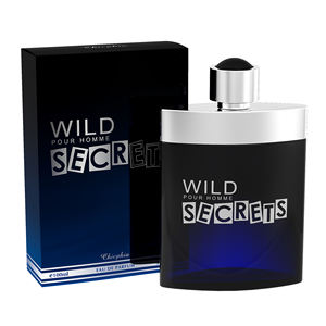 Divers parfums 100ml pour hommes parfums en spray pour le corps déodorants logo du client Utilisation quotidienne acceptable - Product Image 5