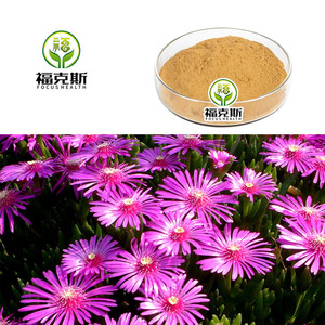 Extracto Puro de <span class=keywords><strong>Lampranthus</strong></span> en Polvo 10:1, Extracto Vegetal Estandarizado para Productos de Salud y Belleza, Suministro a Granel - Product Image 3