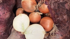 Hữu Cơ Tươi Hành Tây Chất Lượng Tốt Nhất Bán Buôn Giá Rẻ Giá Tươi Vàng Hành Tây/Lớn Hành Tây Cho Xuất Khẩu - Product Image 6