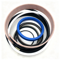 Kit de joints pour vérin hydraulique de direction Tift Lift 17238406 17238353 17254012 pour chargeuse sur pneus L220G L220H