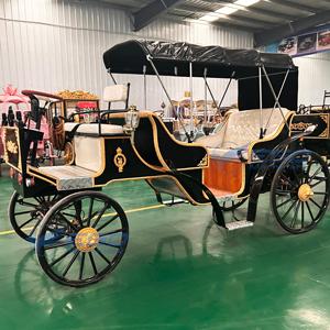 Luxury Three <b>Row</b> of Seats XCEGO Sightseeing Victoria Electric Wedding Carriage Historical Royal - Product Image 6