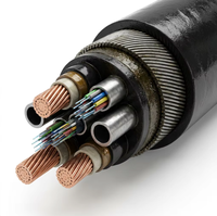 Câble Umbilical Composite Sous-Marin PrimePro |   Indice d'étanchéité IP68, profondeur de 4000 m, durée de vie de 25 à 30 ans |   Fibre optique intégrée pour alimentation haute tension