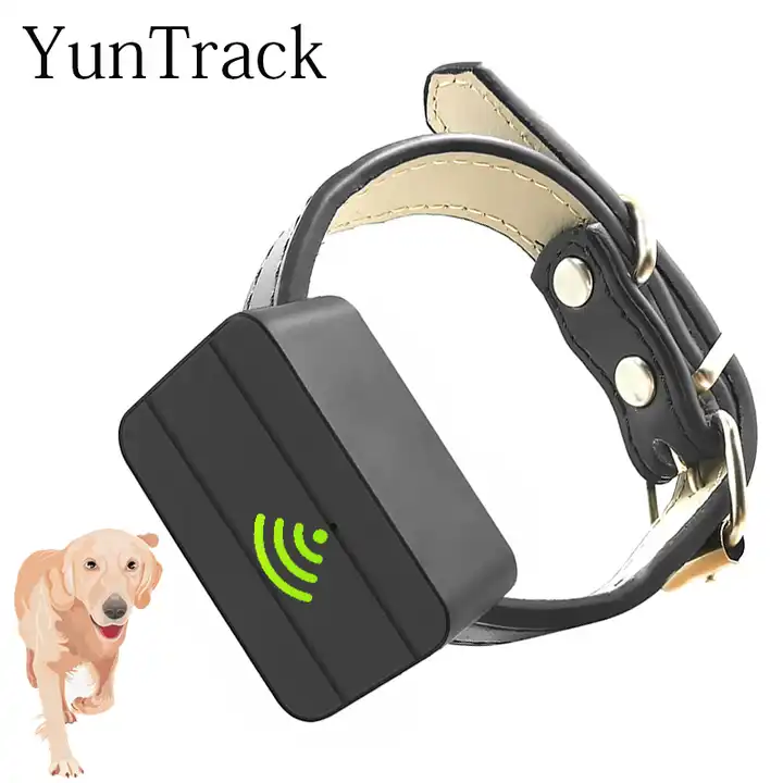 Chiens Chats Gps Suivi Pet Gps Tracker Collier Anti-perdu Dispositif De  Suivi en temps réel