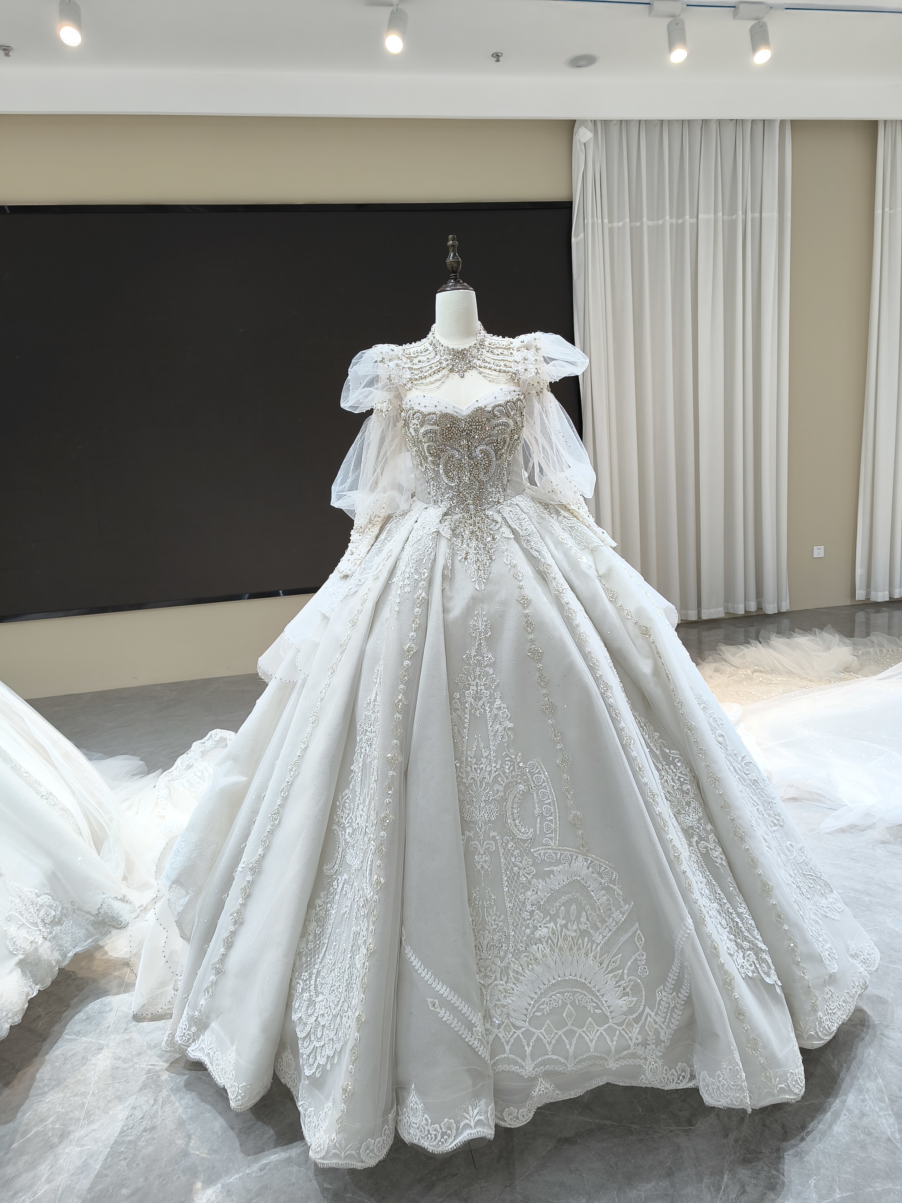 Elegant Wedding Dress with Sleeves Long Veil & Train
