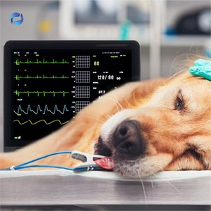 Monitor Tanda Vital Multiparameter Veteriner, Alat Medis ECG SPO2 IBP NIBP PR untuk Hewan Peliharaan - Product Image 6