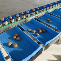 Automatische multifunctionele fruit- en groentesorteermachine met fabrieksaanpassing en hoogprecisie sorteersysteem