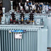 Transformateur de distribution de puissance triphasé 10 kV immergé dans l'huile, haute efficacité, 50 Hz