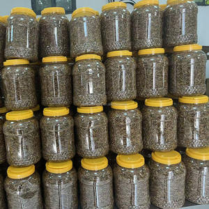 Lombrichi secchi naturali 150g cibo per uccelli passeri Robins uccelli azzurri - Product Image 5