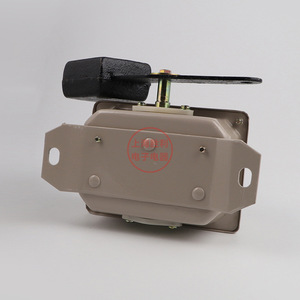 Interrupteur de fin de course Lx10-31 IP65 à bornes à vis pour grues et ponts roulants - Product Image 3