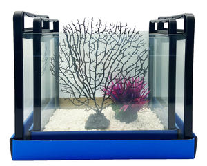 Vendita calda piccolo acquario pesce rosso 3 in 1 vetro Mini acquario acquario multiuso idroponico acquario - Product Image 2