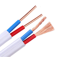 RVVB 300/500V Reinkupfer PVC-Isoliertes Kupferkabel Elektrisches Baukabel Weißes Zwillings- und Erdungskabel