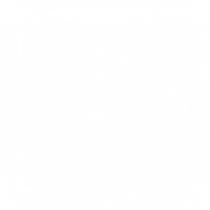 Anillos de Pistón de Hierro Fundido para Motor Diésel Ford 3.2, 5 Cilindros, 3.2TDI, 89.9mm + 2.0 + 2.0 + 2.0 - Product Image 1