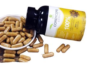 Cápsulas <span class=keywords><strong>cordyceps</strong></span> sinensis natural, cápsulas macias de extrato de <span class=keywords><strong>cordyceps</strong></span> sinensis - Product Image 3