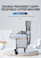 Automatische ui-, aardappel-, cassave-, appel-, mango-, citroen-, kokosnoot- en voedselchips-snijmachine, industriële groente- en fruitsnijmachine