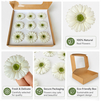 Handgemaakte gedroogde gerbera's - eeuwigdurende bloemen, 3-5 jaar houdbaar voor Valentijnsdag, Moederdag, Nieuwjaar, Kerstmis