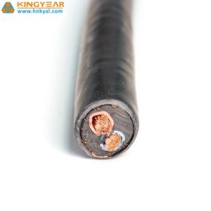 2X2.5mm 2X6mm 2X10mm 2X16mm RRU <b>DC</b> <b>Power</b> <b>Cable</b> - Product Image 3