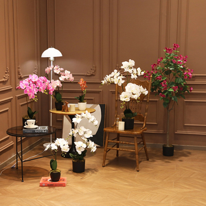 <span class=keywords><strong>Plantas</strong></span> <span class=keywords><strong>Artificiales</strong></span>, Venta Especial de Decoración Floral para Interiores, Flores <span class=keywords><strong>Artificiales</strong></span>, Árboles <span class=keywords><strong>Artificiales</strong></span>, <span class=keywords><strong>Plantas</strong></span> <span class=keywords><strong>Artificiales</strong></span> - Product Image 5