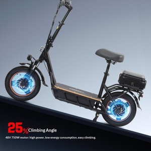 <span class=keywords><strong>Bicicleta</strong></span> Eléctrica con Motor Delantero de 750W, sin Escobillas, de Aluminio, con Amortiguación y Larga Duración, Venta al Por Mayor en Almacén de Fábrica en el Extranjero - Product Image 4
