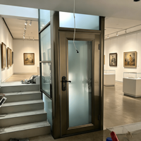 Ascenseurs résidentiels modernes et contemporains pour petites villas, écoénergétiques, gain de place, entraînement AC sans engrenages, 250-410 kg