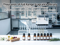 Échantillon Gratuit Parfum de Marque Originale de Créateur Huile de Parfum en Gros France Qualité Supérieure Huile de Parfum à Base d'Huile en Vrac