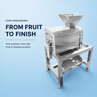Industriële elektrische mangopulper/fruitpulp-sapmachine/mango-puree-extractor voor fruitverwerkingsbedrijven