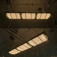 KingBrite - Red Grow Light, 320 W LED 288 Board, LM301H Mix