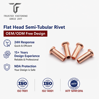Rivets semi-tubulaires à tête plate en cuivre TianFang pour supports d'éclairage, plaqués étain, production OEM basée sur plans