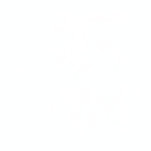 อะไหล่สแตนเลสขายส่งสำหรับรถขุดแดวู/ดูซาน รุ่น DH220-5 วาล์วหลัก วาล์วควบคุมทิศทาง ผู้ผลิตวาล์วไฮดรอลิก - Product Image 1