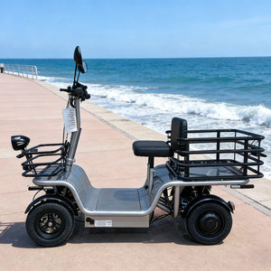 Scooter électrique puissant à 4 roues <span class=keywords><strong>avec</strong></span> moteur à engrenages 250W, <span class=keywords><strong>porte</strong></span>-bagages extensible, maniabilité facile, véhicule adapté aux espaces étroits - Product Image 2