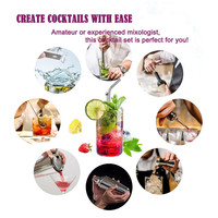 Kit de Shaker à Cocktail professionnel en acier inoxydable