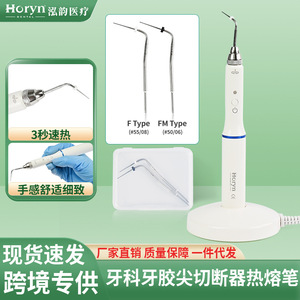 Appareil électrique de chauffage pour obturations de canaux radiculaires Horyndent avec embout chauffant pour équipement de thérapie orale - Product Image 4