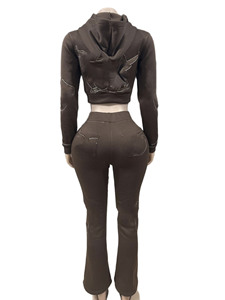 Herbst Winter Damen bekleidung Reiß verschluss Crop Jacke und Jogging hose Casual Outfits 2-teiliges Hosen-Set Damen bekleidung Streetwear - Product Image 3