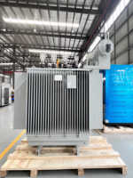 11kv 15kv 20kv 33kv 50kva 100kva 500kva 630kva 1000kva 2500kva transformateur de distribution immergé dans l'huile de tension abaisseur de phase 3